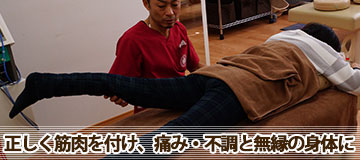 正しい筋肉を付け、痛み・不調と無縁の身体に