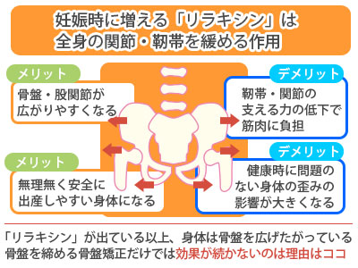 リラキシンの作用